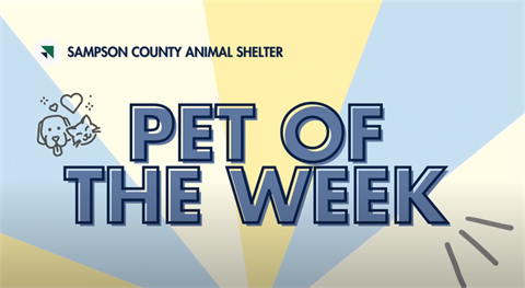 pet of the week.png