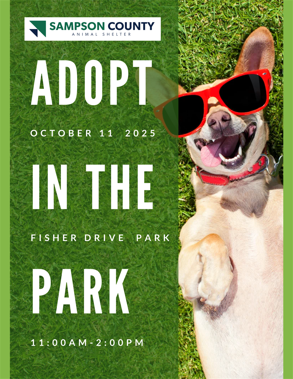 adopt in the park (1).png