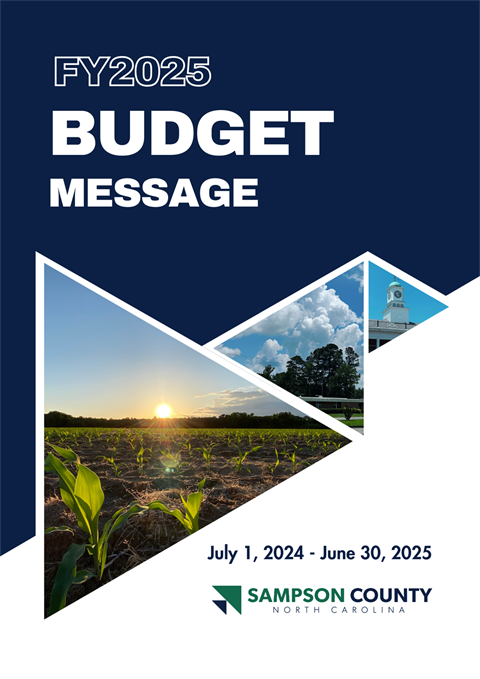 2025-Budget.png